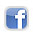 Connect with Virginia Boys State on Facebook!